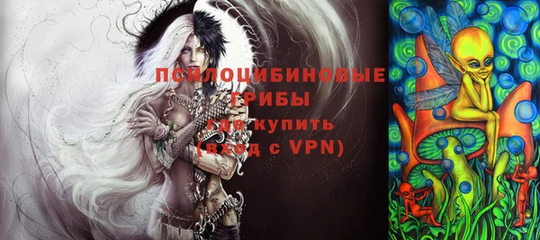 apvp Верхний Тагил