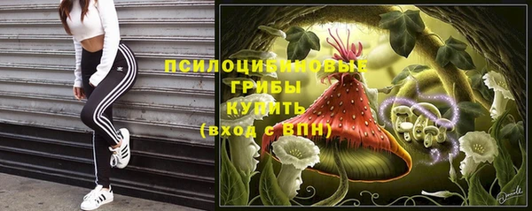 apvp Верхний Тагил