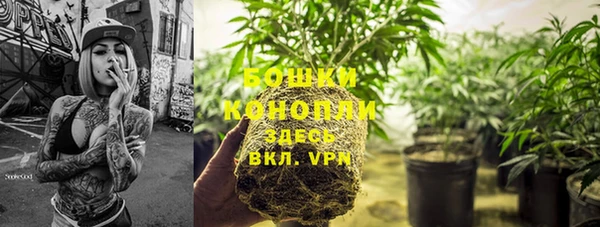 PSILOCYBIN Богородицк