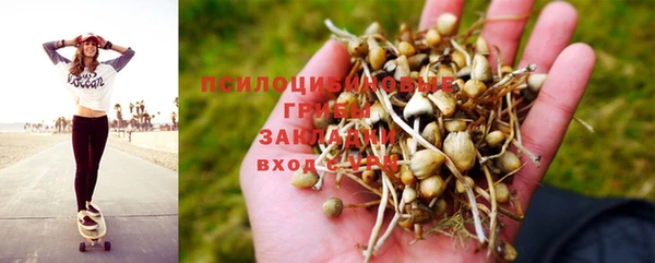 не бодяженный Богданович